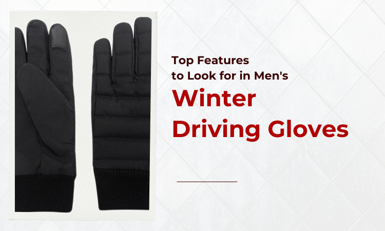 Image of a pair of black color mens winter gloves