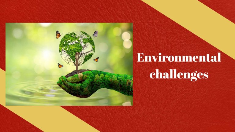 Environmental challenges in leather manufacturing